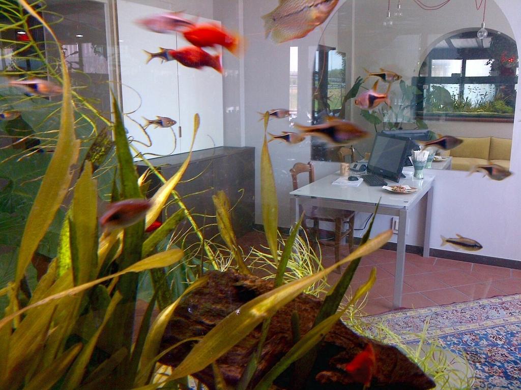 Locanda Ai Due Orsi Milaan Buitenkant foto