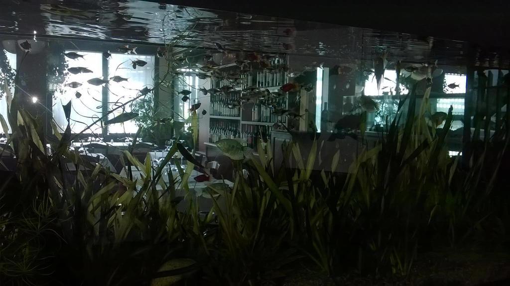 Locanda Ai Due Orsi Milaan Kamer foto